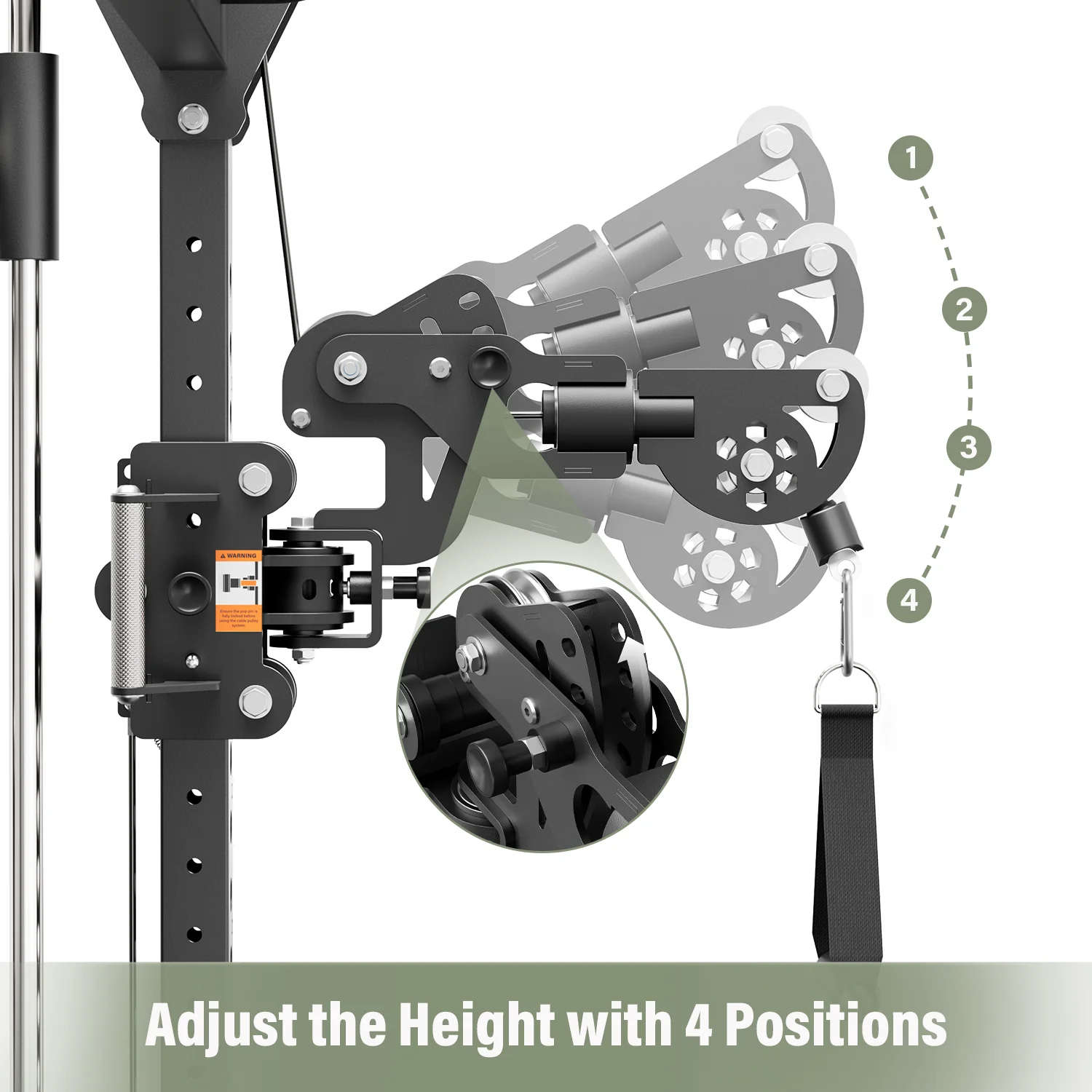 Major Fitness Flex Arms - Image 3